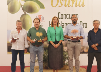 Osuna premia la calidad de la aceituna hojiblanca en una campaña marcada por los bajos precios