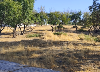 Propietarios y Ayuntamiento avanzan en la recepción del Sur-2 de Lucena