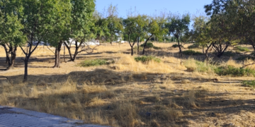 Propietarios y Ayuntamiento avanzan en la recepción del Sur-2 de Lucena