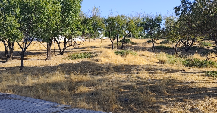 Propietarios y Ayuntamiento avanzan en la recepción del Sur-2 de Lucena